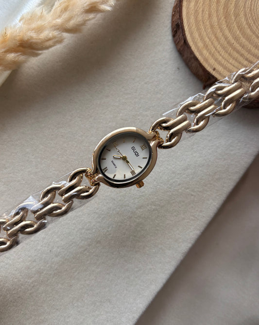 Stainless steel premium watch