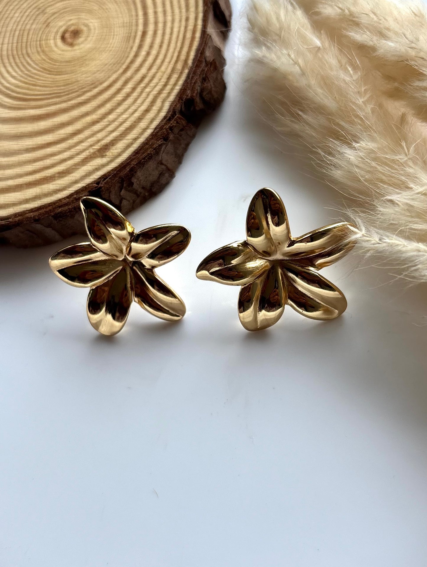 Anti tarnish gold plated earrings